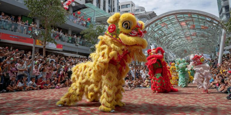 Cultural Exchange Programmes Lion Dance – Tradition, Innovation & Booking in Singapore